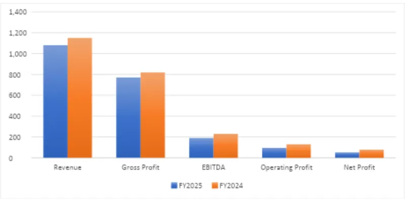Financial Performance Analysis